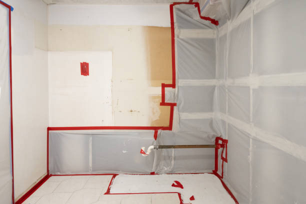 Best Biohazard Mold Removal  in Sugar Land, TX