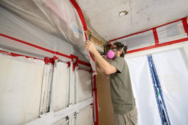Best Water Damage & Mold Remediation  in Sugar Land, TX